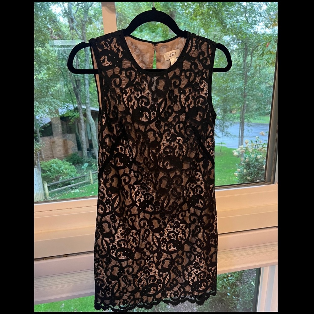 Ann Taylor LOFT Black Lace Dress